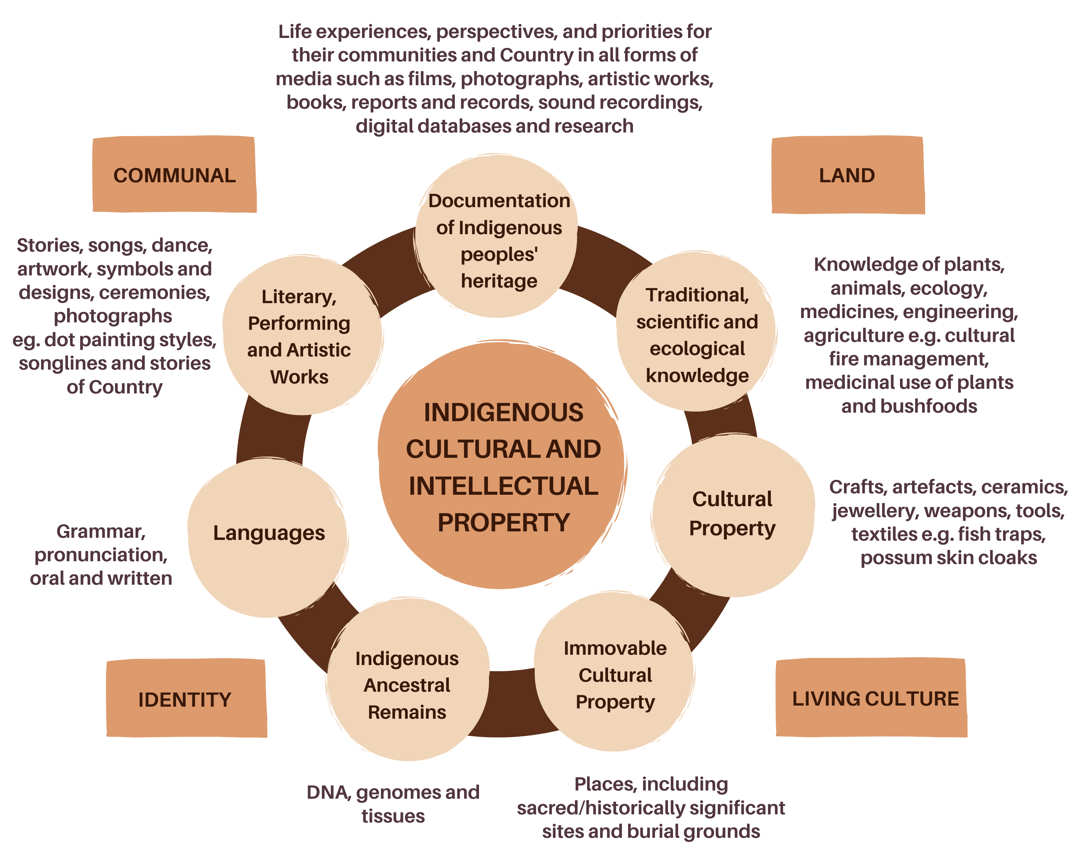 A Diagram Of Cultural And Intellectual Property Description Automatically Generated